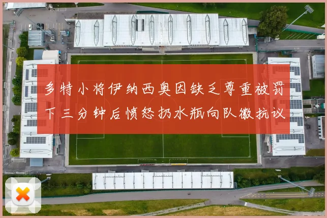 多特小将伊纳西奥因缺乏尊重被罚下三分钟后愤怒扔水瓶向队徽抗议